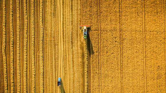 Siena Ventures_image